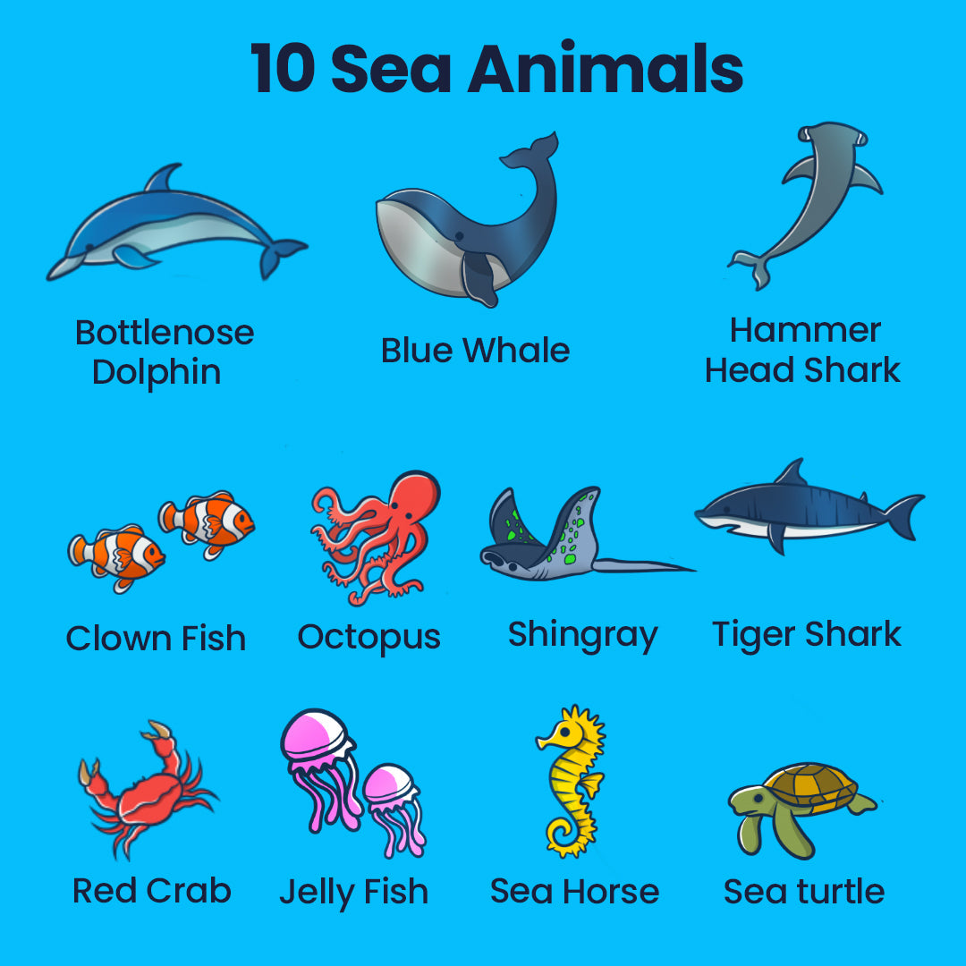 Ten sea animals covered