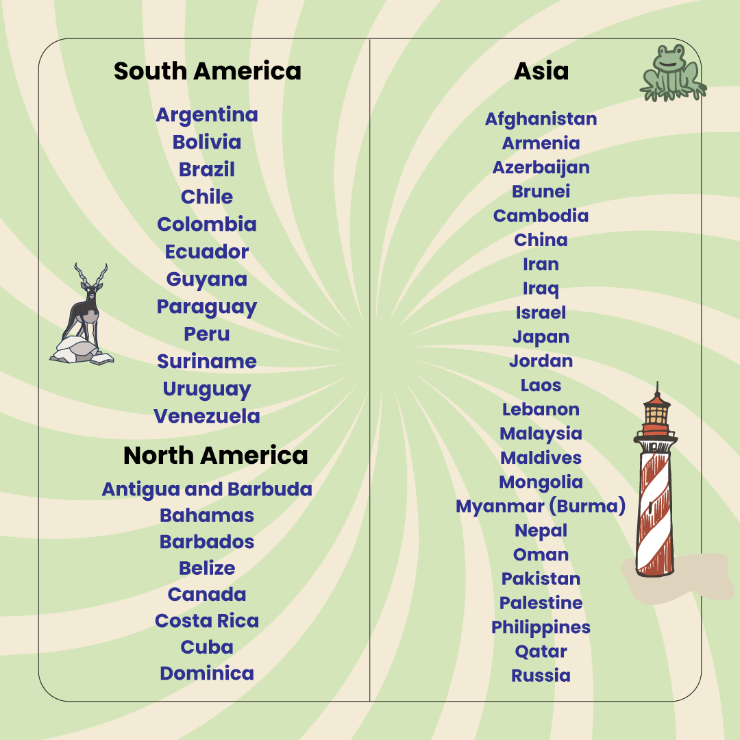 World Map Educational Puzzle 80 Pieces (Ages 5+)