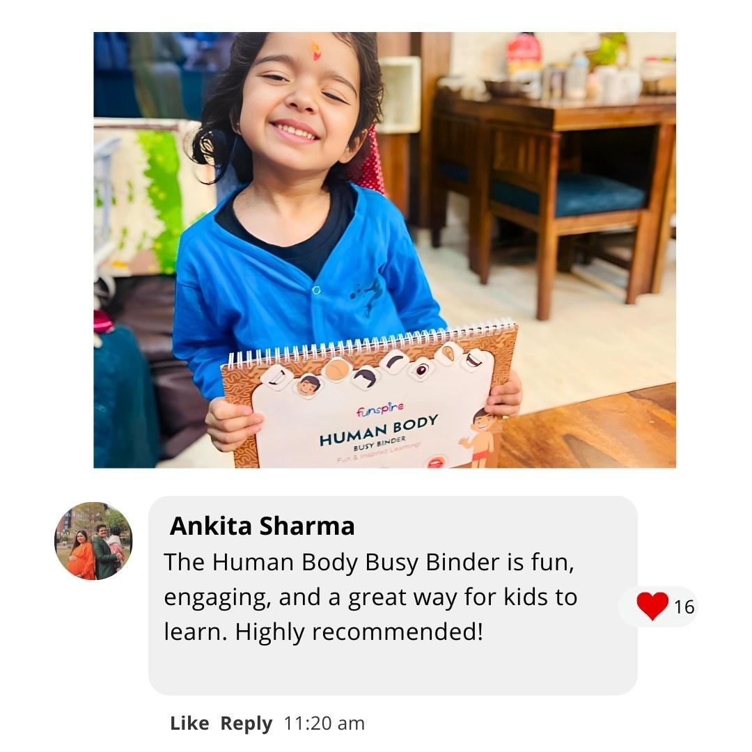 ๐พ Curious Little Learner Combo (Ages 2+) - Animals + Human Body Binders