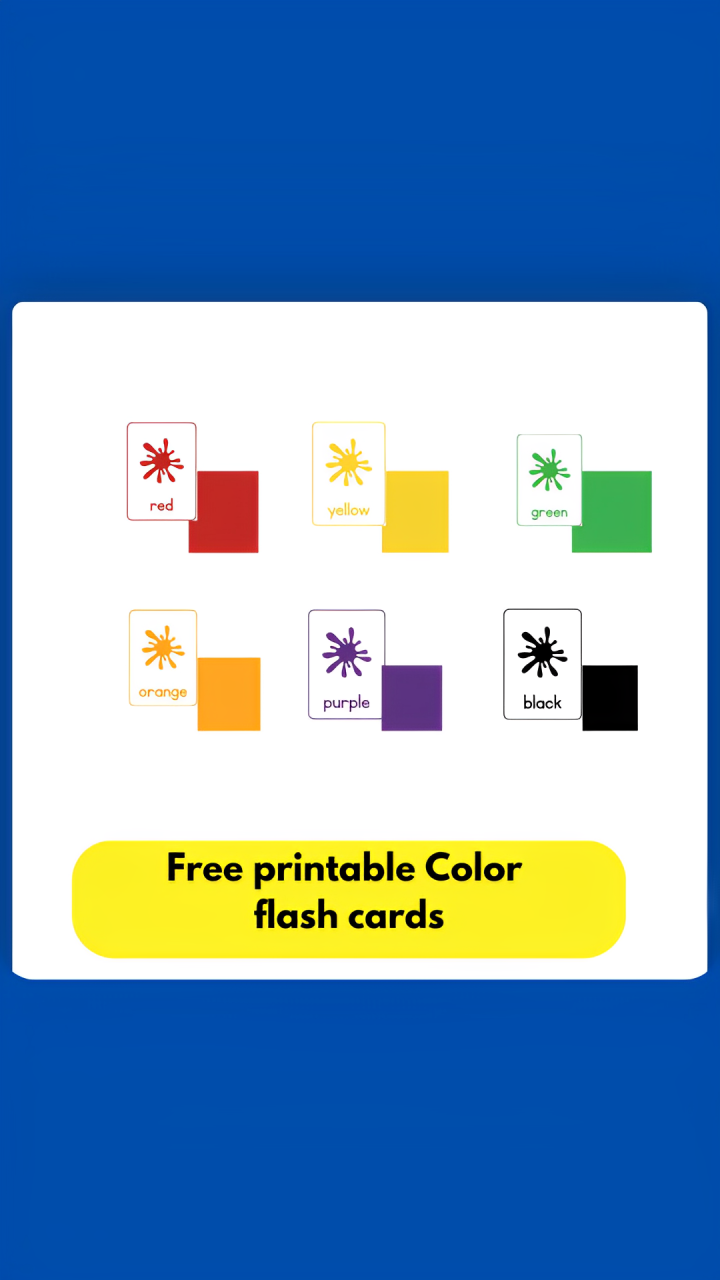 Color Flash Card – Funspire