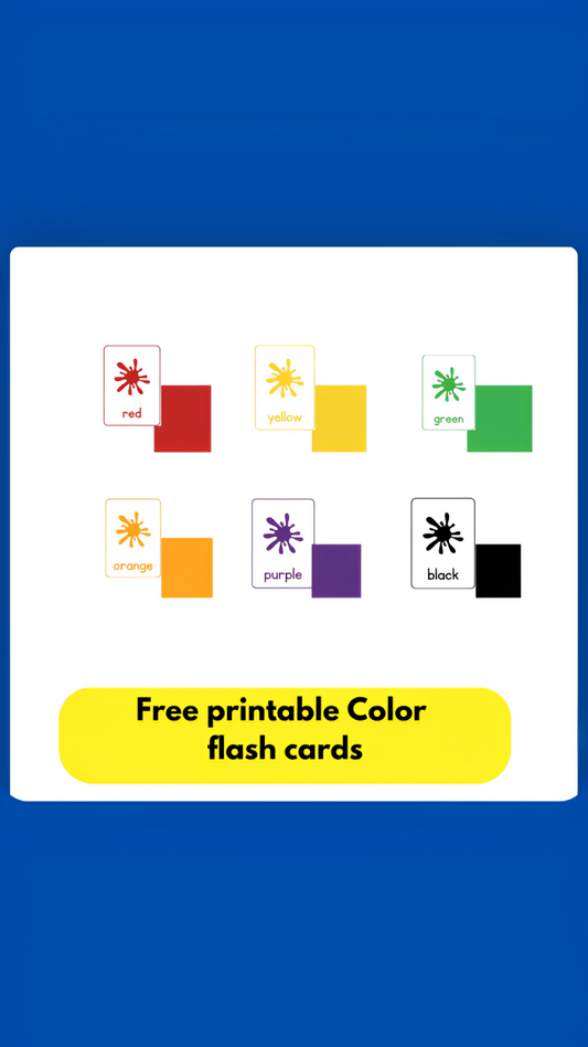 Color Flash Card
