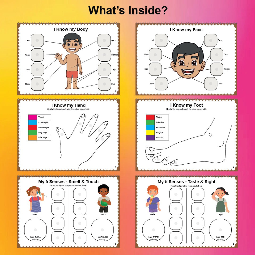 Human Body Binder for Age 2+